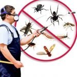 Pest Control