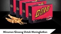 Golo Ginseng Menggairahkan Energi